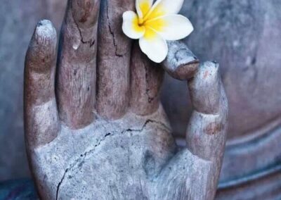 Zazen pour la paix – Jeudi 28 mai 26