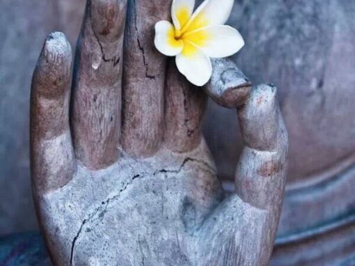 Zazen pour la paix – Jeudi 28 mai 26