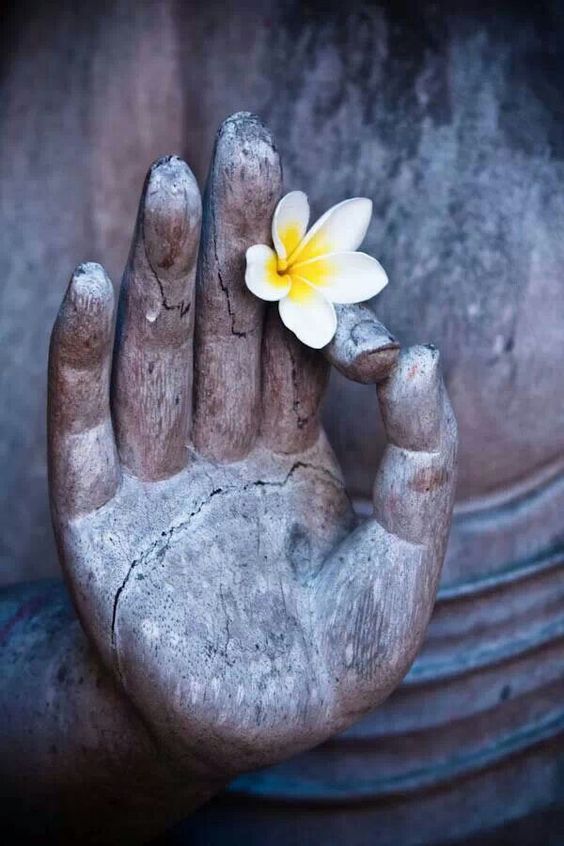 Zazen pour la paix – Jeudi 28 mai 26