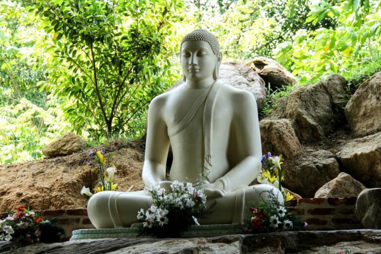 La nature de Bouddha
