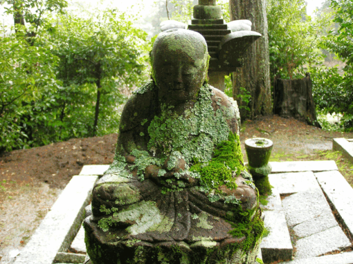 Le premier vœu du bodhisattva